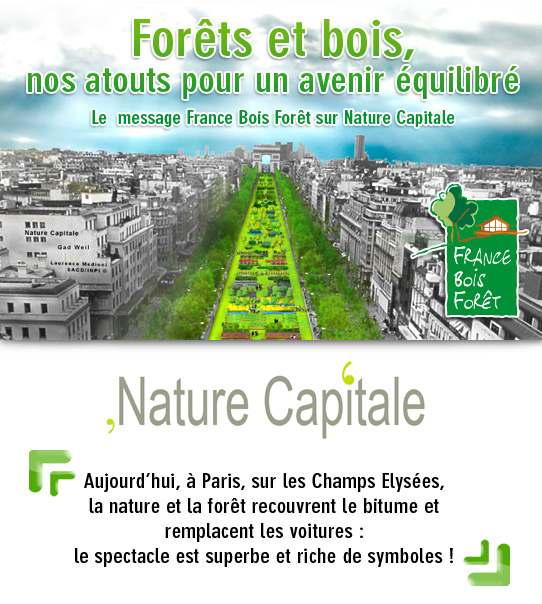 NatureCapitale2010_Affiche