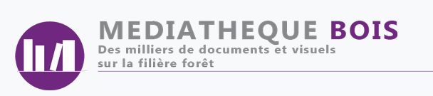 logo-mediatheque-bois