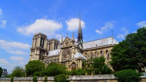 La filière forêt-bois s’organise pour reconstruire Notre-Dame de Paris