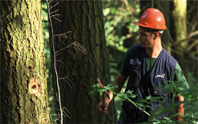 Alliance Forêts Bois - 1ère coopérative forestière de France