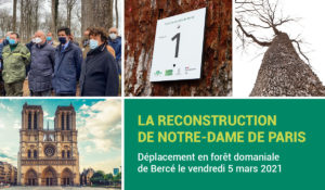LA RECONSTRUCTION DE NOTRE-DAME DE PARIS Déplacement en forêt domaniale de Bercé le vendredi 5 mars 2021