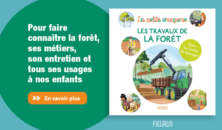 les-travaux-de-la-for-t-la-petite-imagerie-fleurus-france-bois-for-t