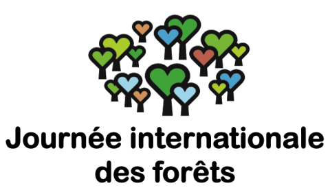 Journée internationale des forêts: JIF 2024 - France Bois Forêt