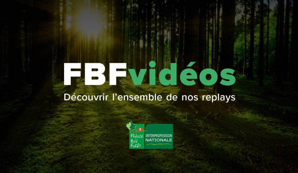 Bn-ensemble De 8 Forets Bois - Foret Bois Frais-7 Forets Taille