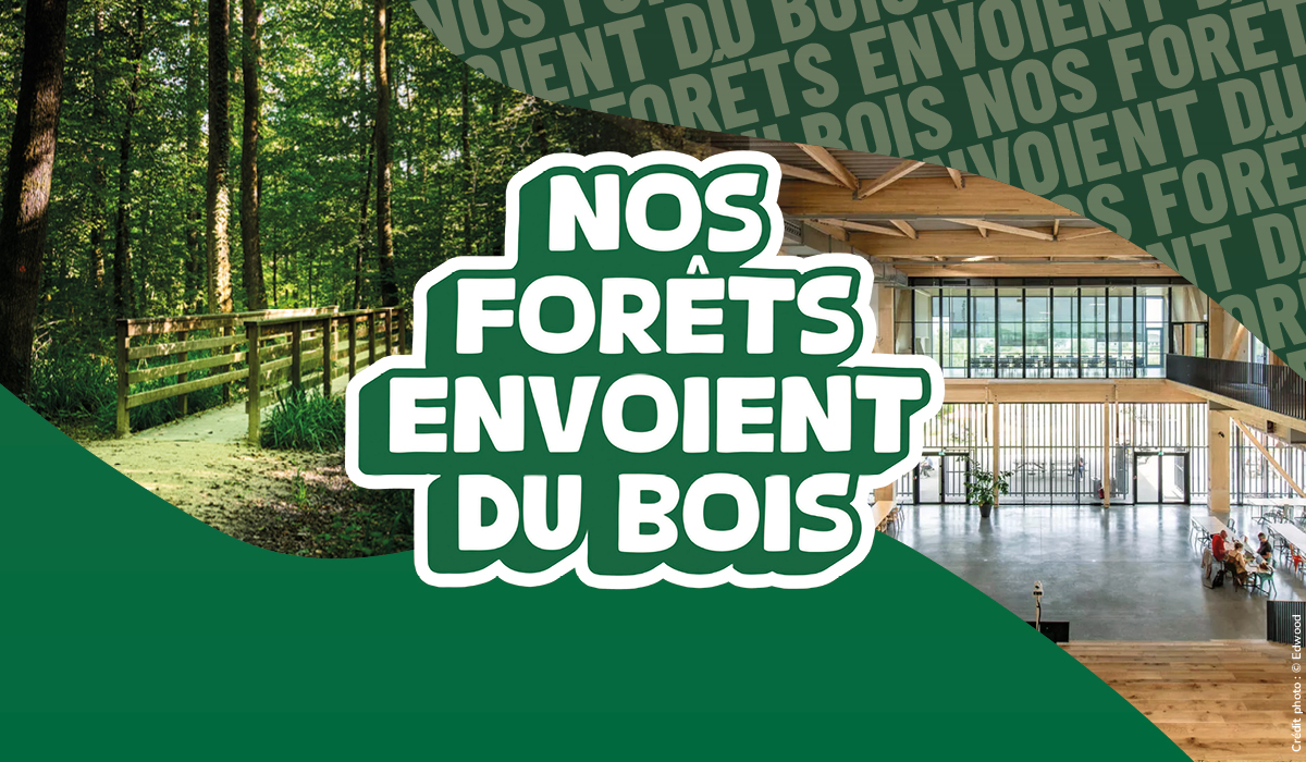 Nos For ts Envoient Du Bois France Bois For t