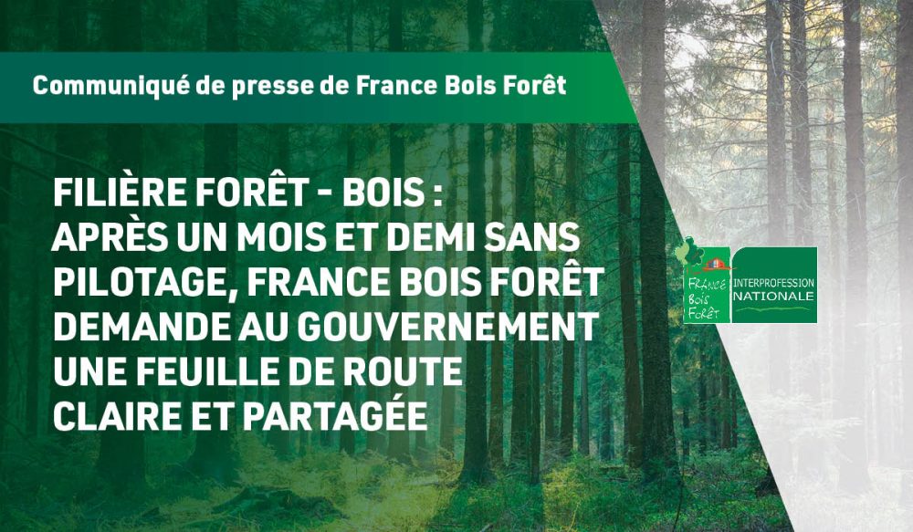 Presse France Bois For t