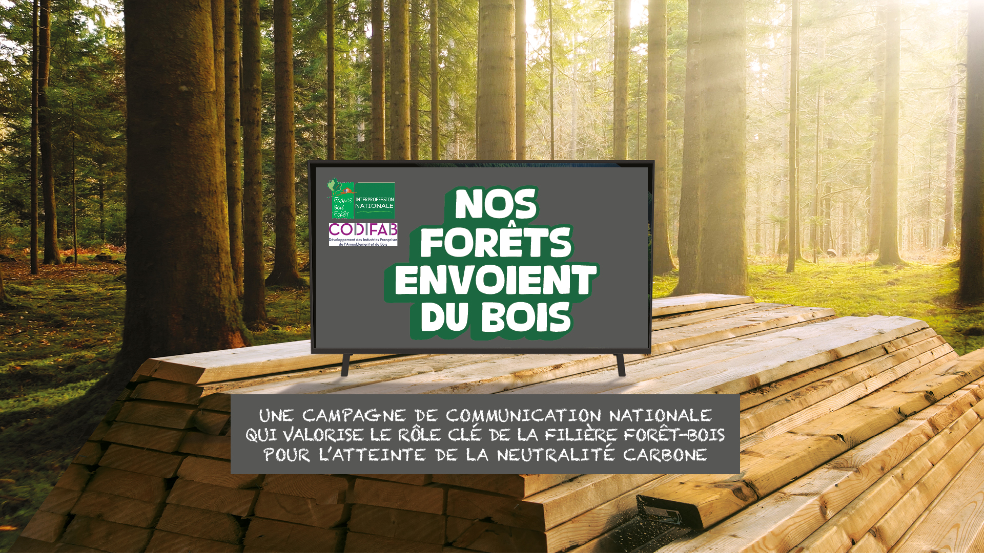 Nos For ts Envoie Du Bois D couvrez La Campagne De Communication 