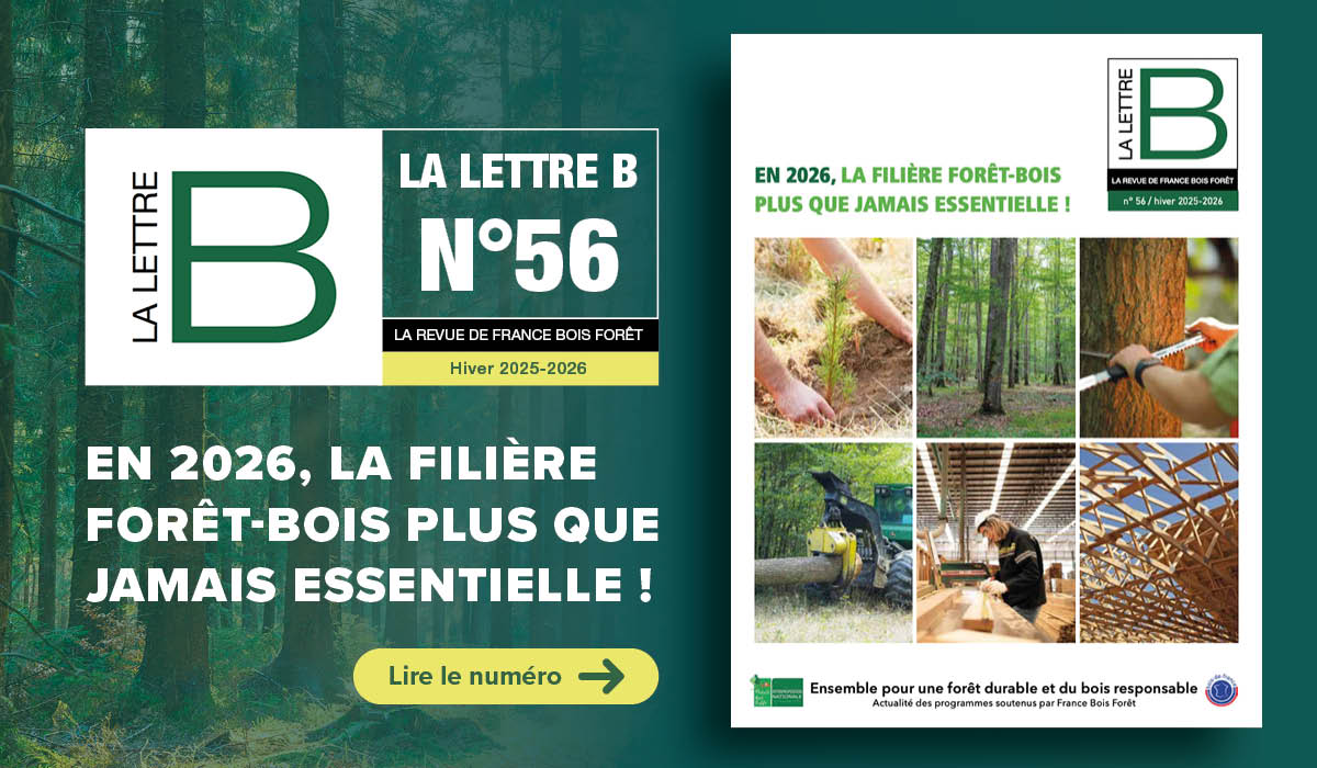 La Lettre B numéro 56 - France Bois Forêt